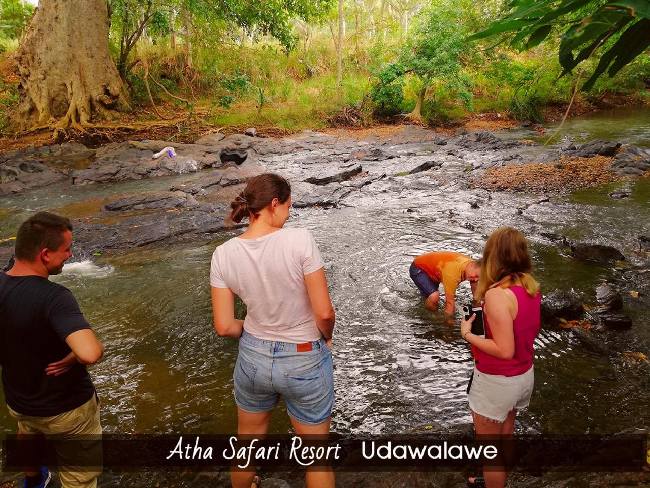 Atha Safari Resort & Riverside Camping Udawalawe Eksteriør bilde