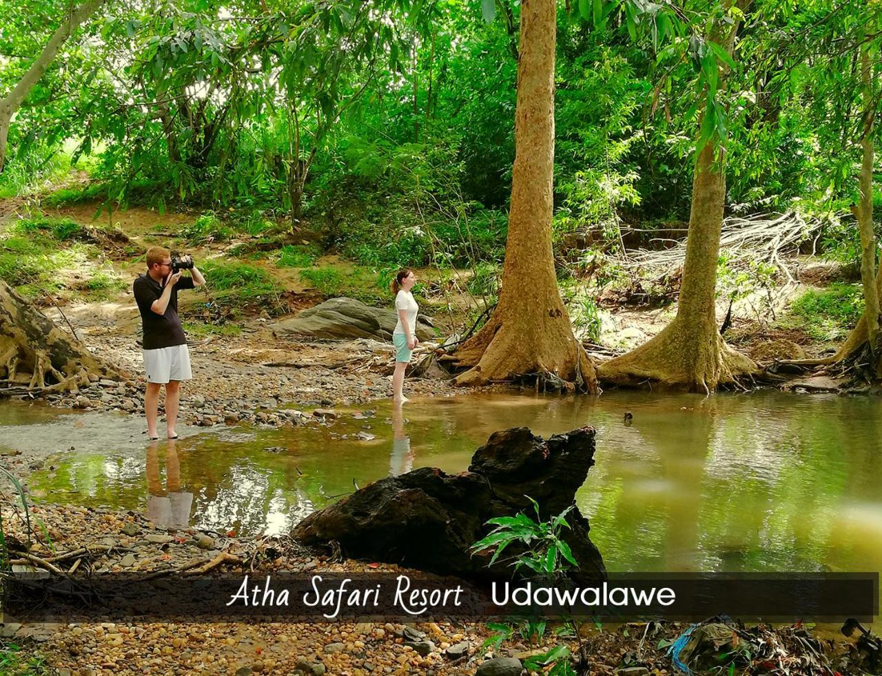 Atha Safari Resort & Riverside Camping Udawalawe Eksteriør bilde