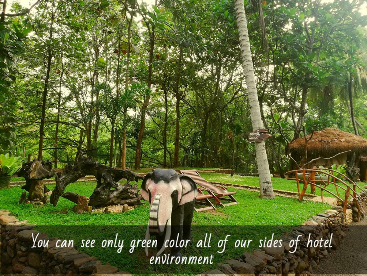 Atha Safari Resort & Riverside Camping Udawalawe Eksteriør bilde